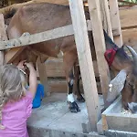 Jurta Az Erdo Mellett Dezsaval-keresz-tanya Luxusní stan
