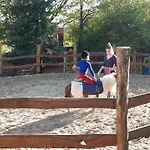 Jurta Az Erdo Mellett Dezsaval-keresz-tanya * Pilisszentkereszt