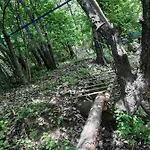 Jurta Az Erdo Mellett Dezsaval-keresz-tanya *