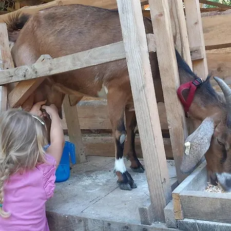 Jurta Az Erdo Mellett Dezsaval-keresz-tanya Lüks kamp alanı