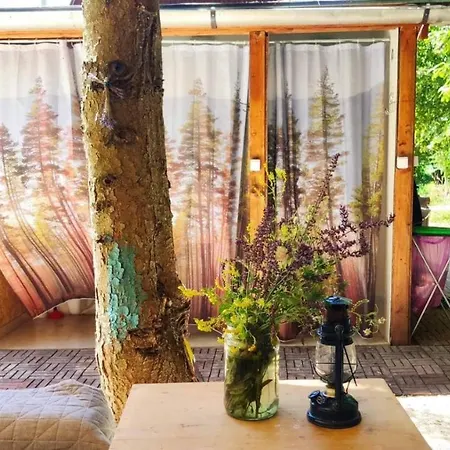 Jurta Az Erdő Mellett Dézsával-keresz-tanya Glamping *